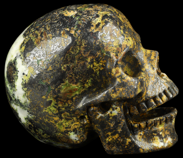 Hiso Jasper Skull - Funky Stuff