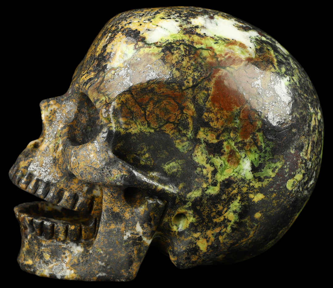 Hiso Jasper Skull - Funky Stuff