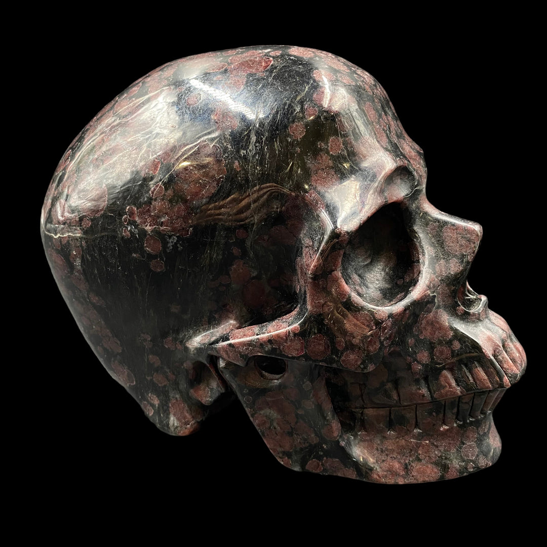 Garnet With Arfvedsonite Skull - Funky Stuff