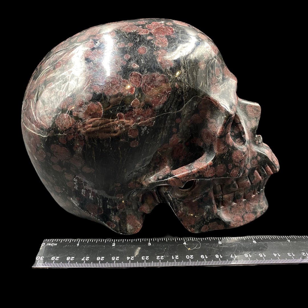 Garnet With Arfvedsonite Skull - Funky Stuff