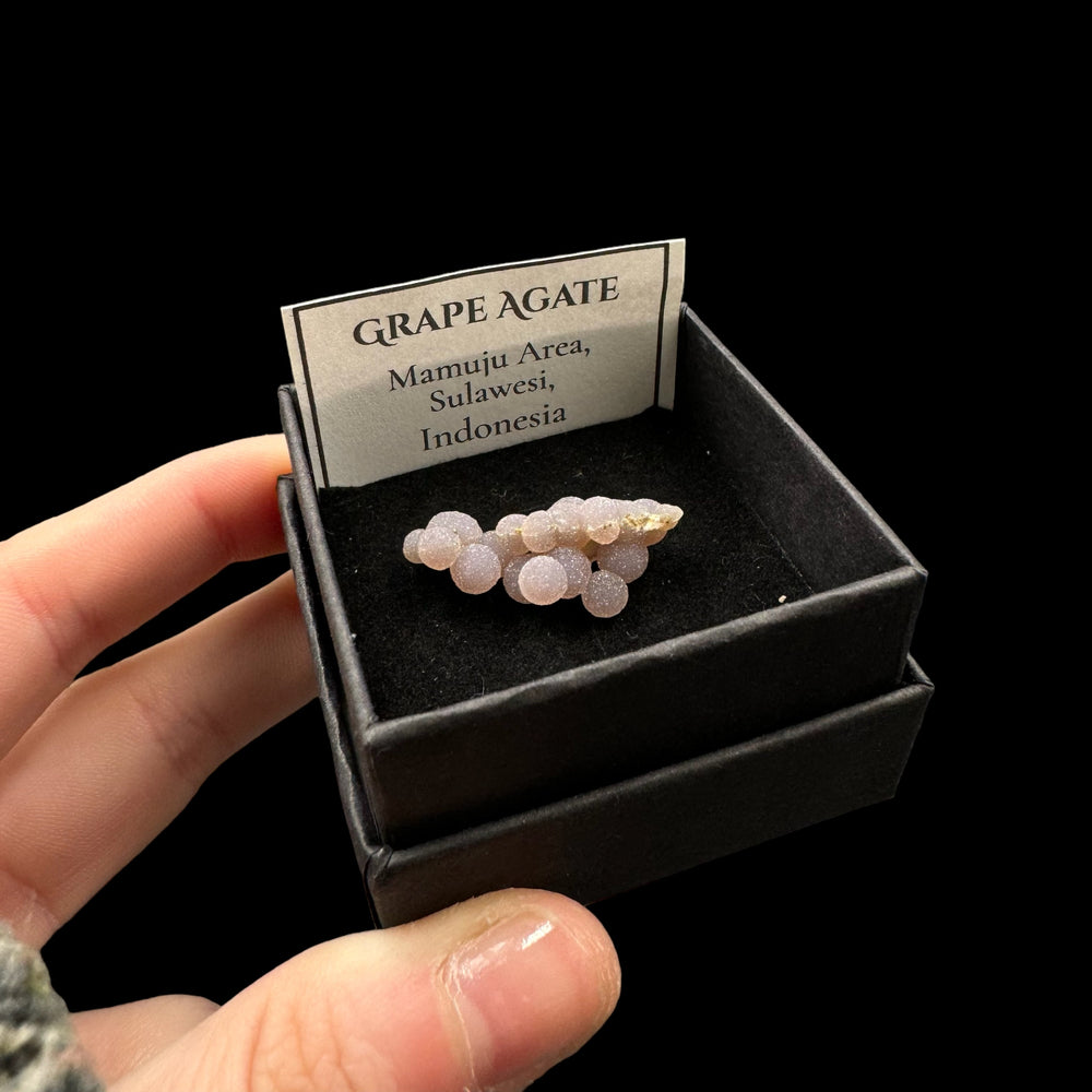 Grape Agate Boxed Specimen - Funky Stuff