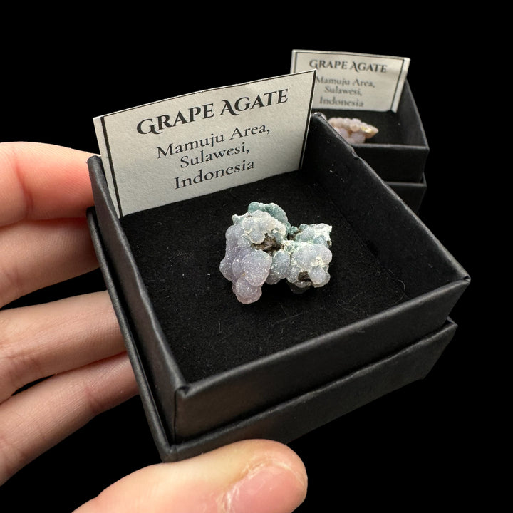 Grape Agate Boxed Specimen - Funky Stuff