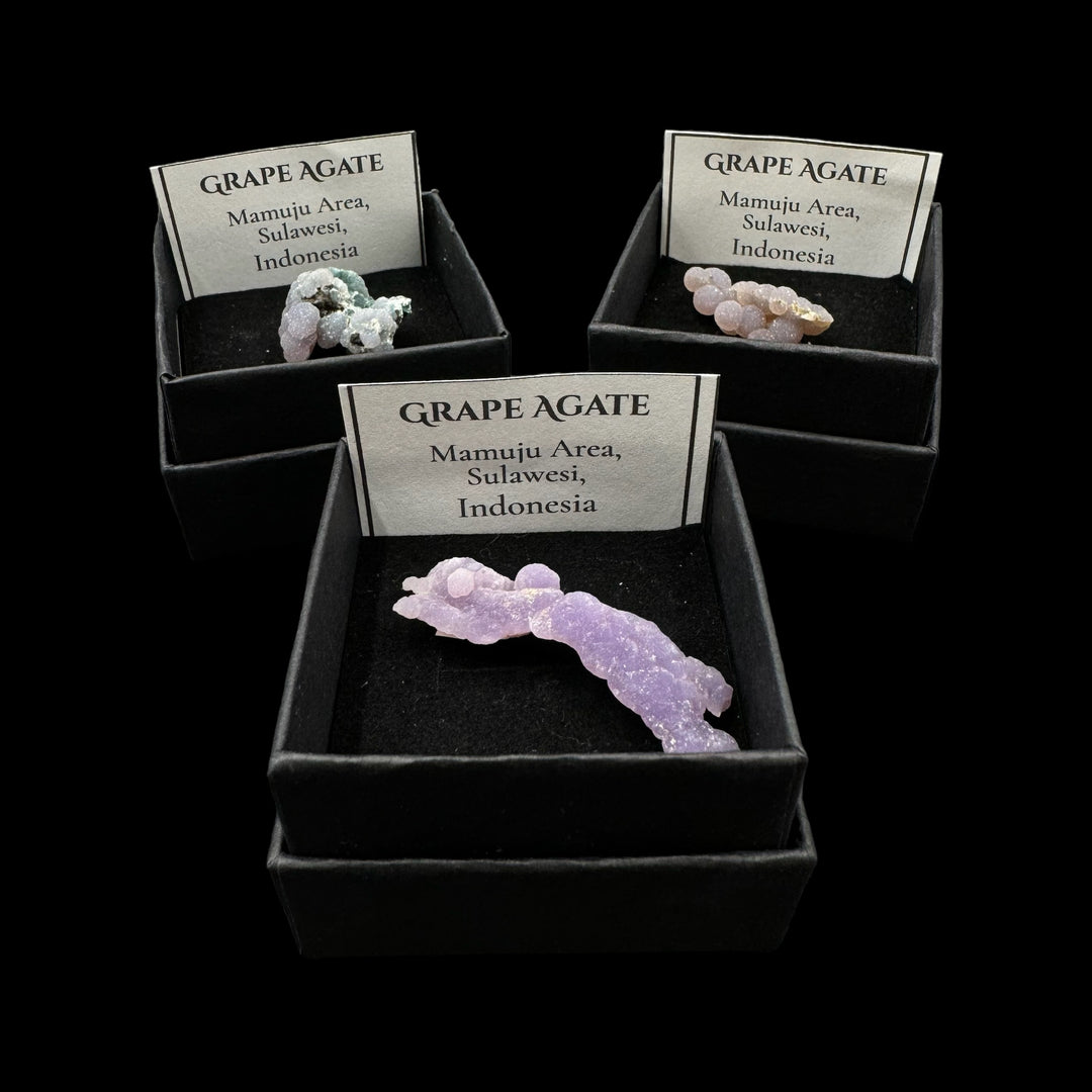 Grape Agate Boxed Specimen - Funky Stuff