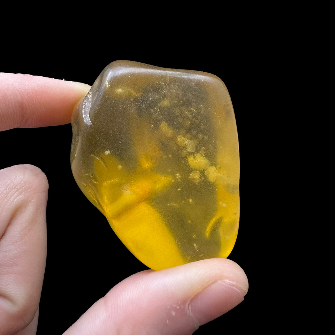 Amber (UV Reactive) - A Grade - Funky Stuff