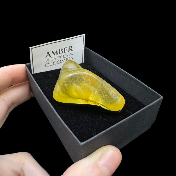 Amber (UV Reactive) - A Grade - Funky Stuff