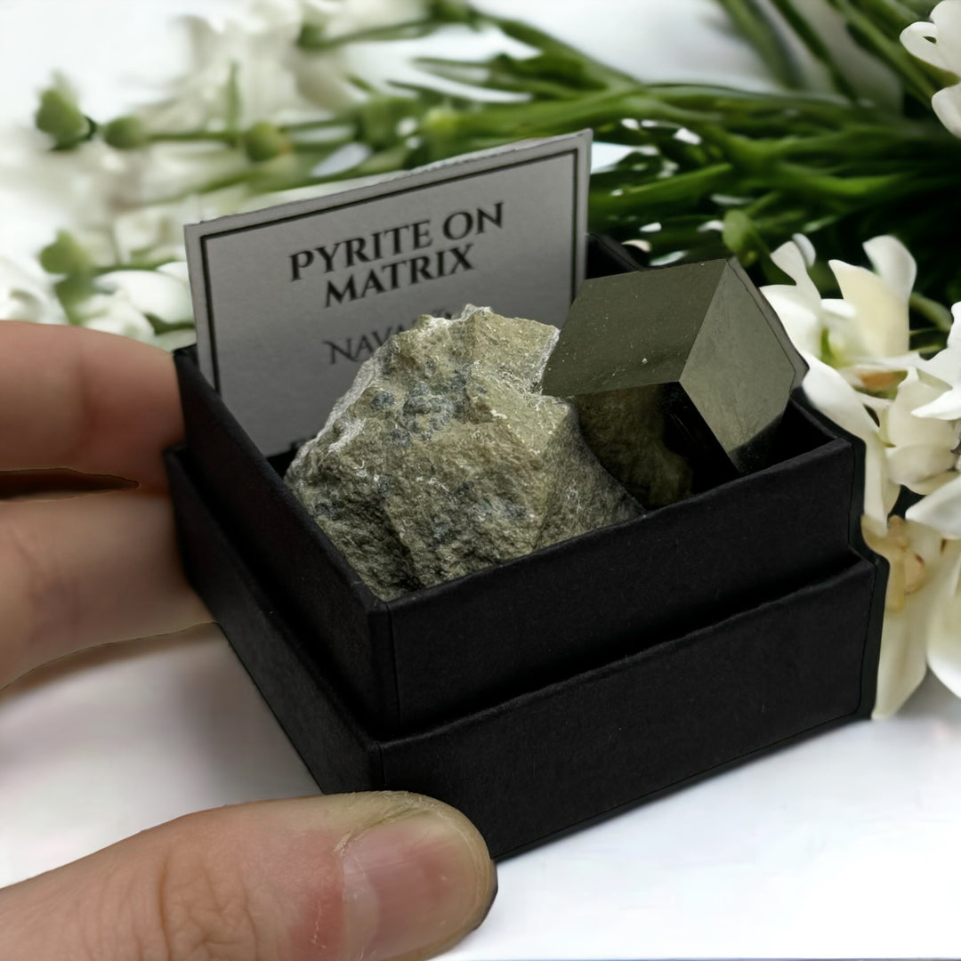 Pyrite on Matrix (Boxed Specimen)