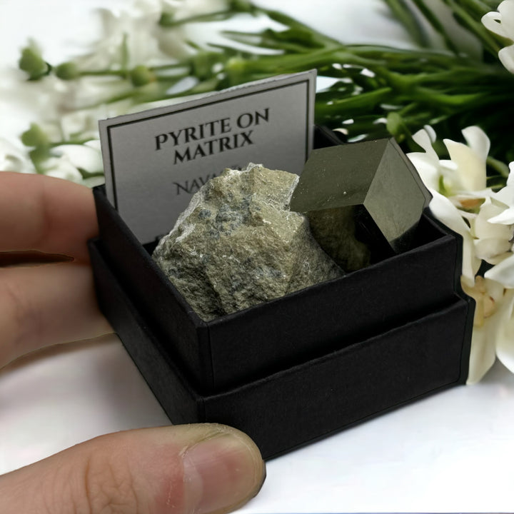 Pyrite on Matrix (Boxed Specimen) - Funky Stuff