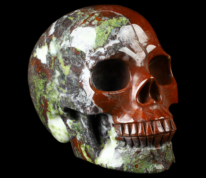 Dragons Blood Skull (Repaired) - Funky Stuff