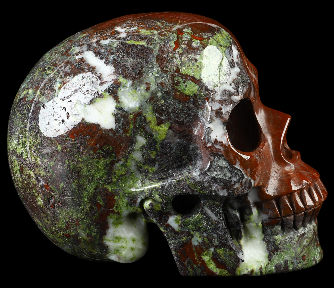Dragons Blood Skull (Repaired) - Funky Stuff