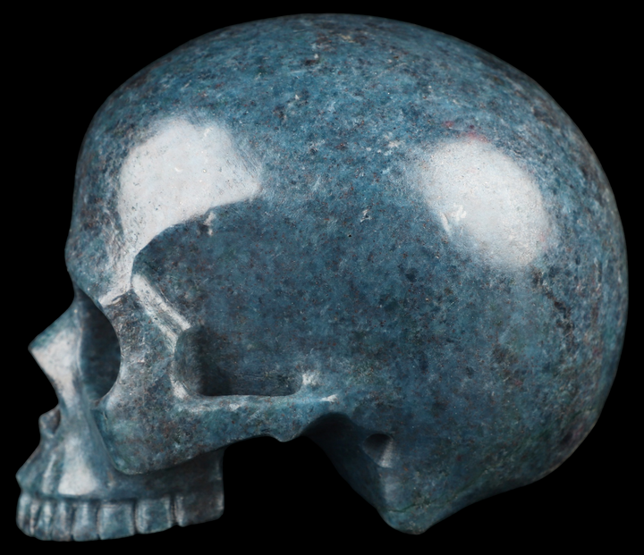 Ruby Kyanite Skull - Funky Stuff