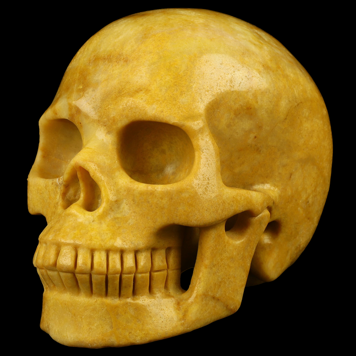 Yellow Jasper Skull - Funky Stuff