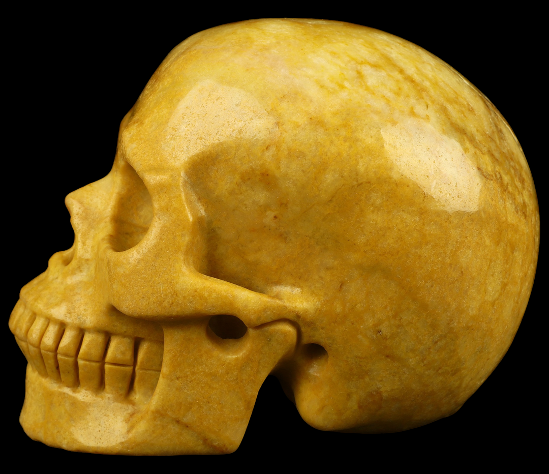 Yellow Jasper Skull - Funky Stuff