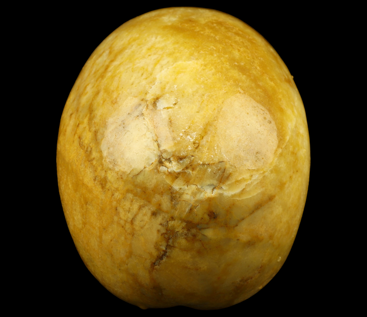 Yellow Jasper Skull - Funky Stuff