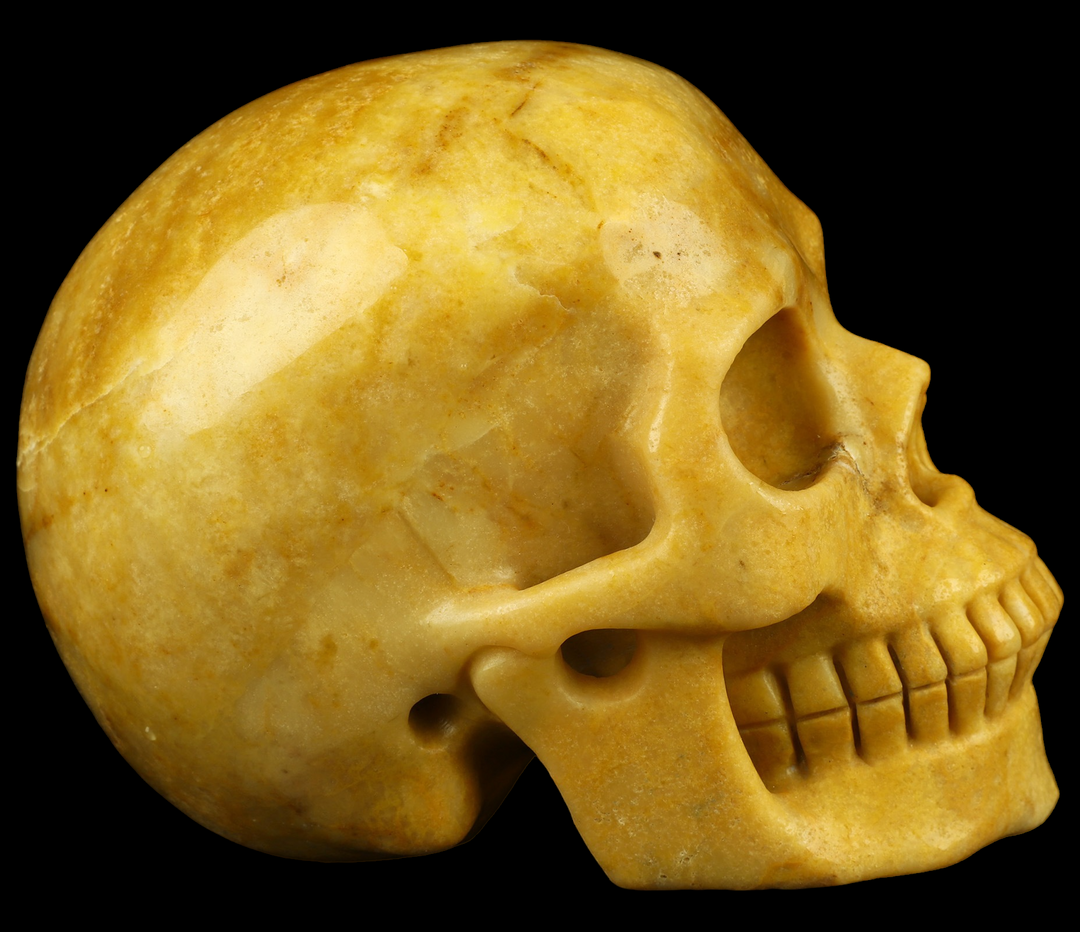 Yellow Jasper Skull - Funky Stuff