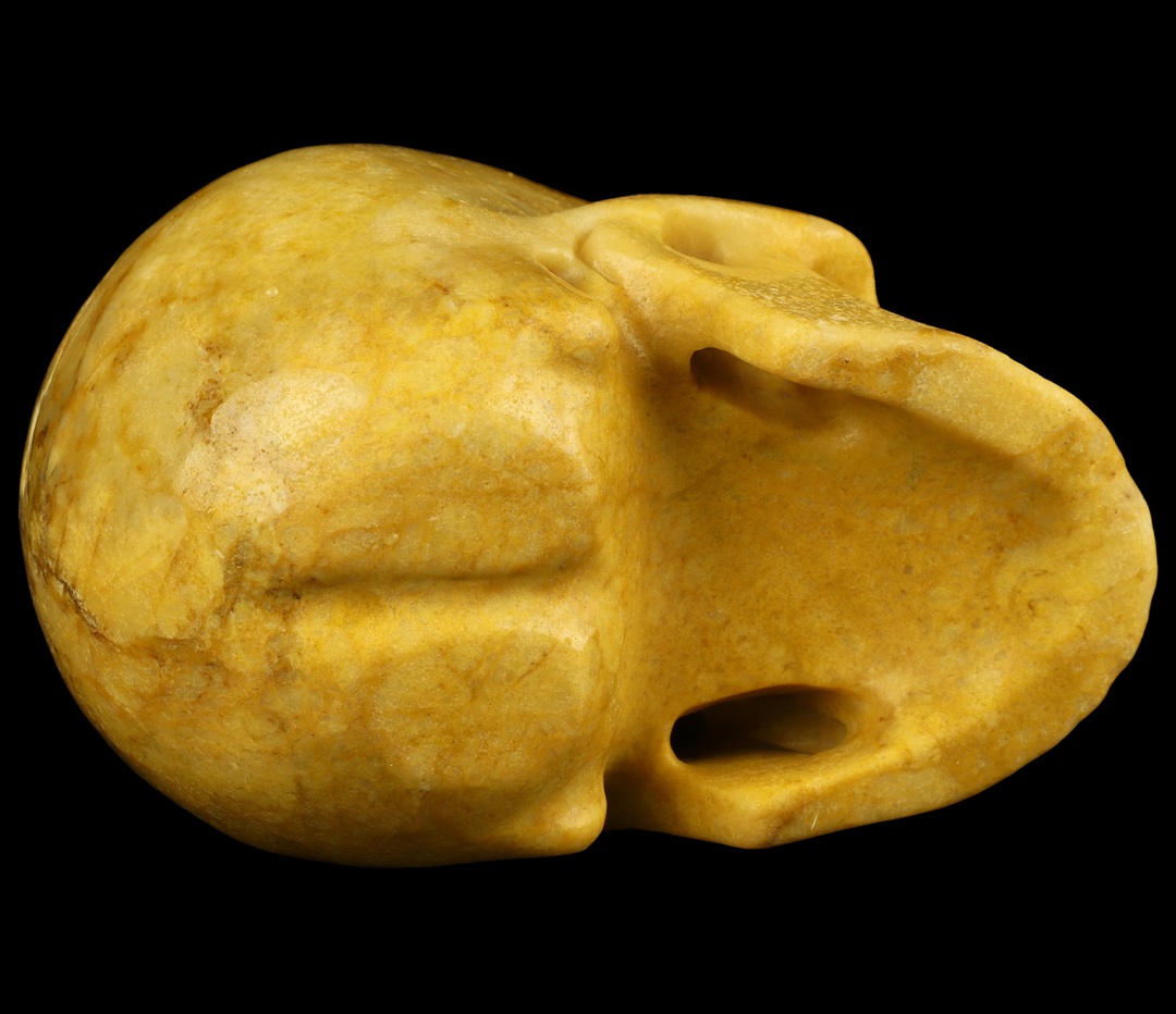 Yellow Jasper Skull - Funky Stuff