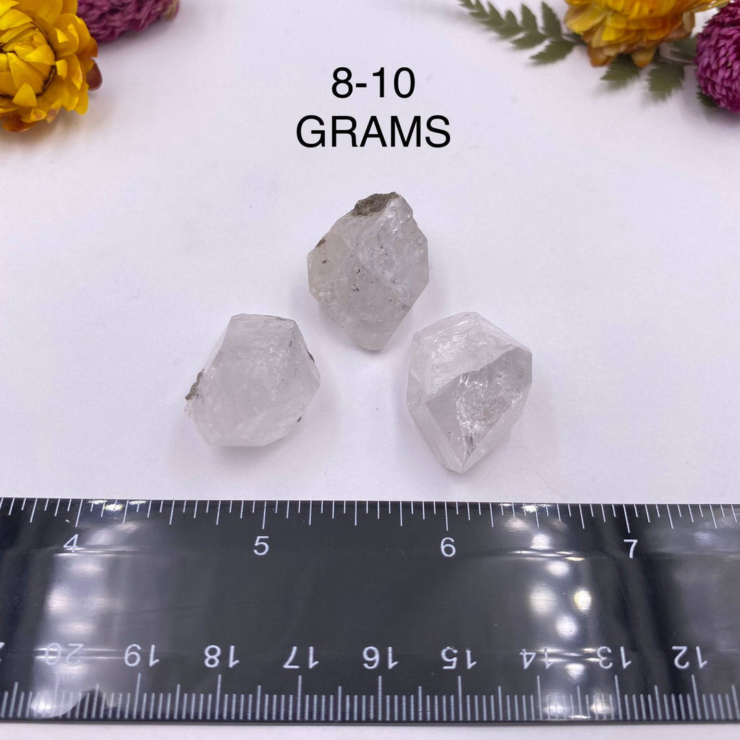 Herkimer Diamond Quartz (Thumbnail Case Specimen) - Funky Stuff