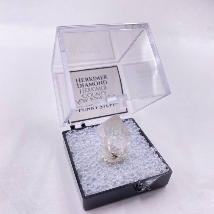 Herkimer Diamond Quartz (Thumbnail Case Specimen) - A Grade - Funky Stuff