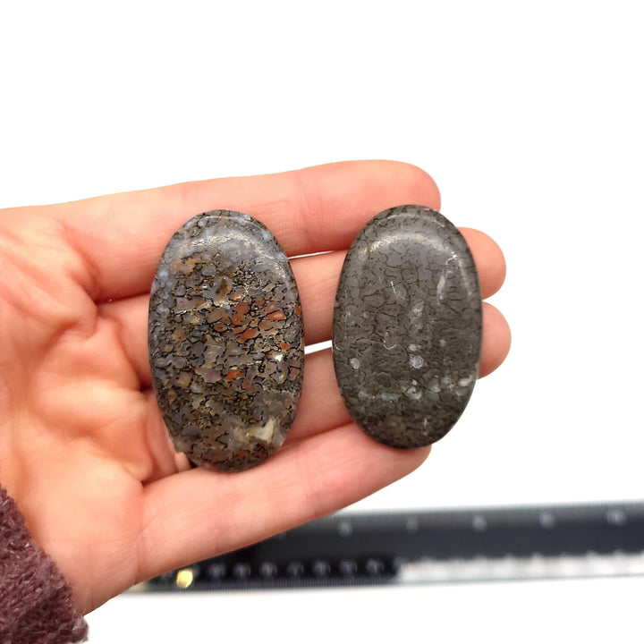 Dinosaur Bone Cabochon - Oval - Funky Stuff