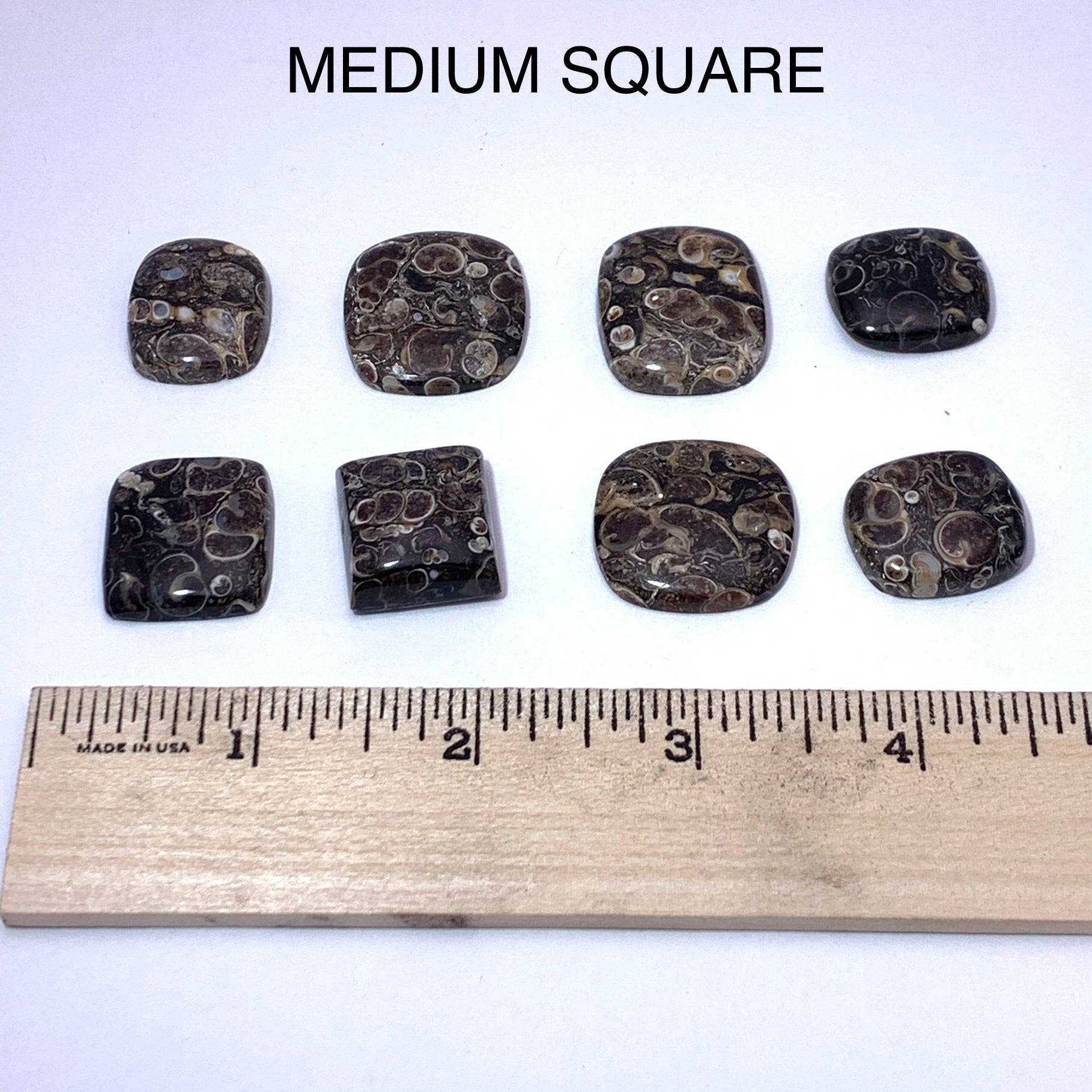 Turritella Agate Cabochon - Funky Stuff