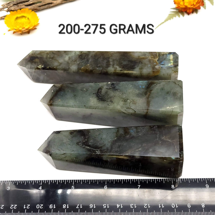 Labradorite Obelisk - Funky Stuff