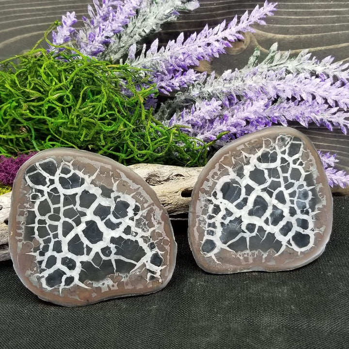 Septarian Nodule Pair (Dragon Stone) - Funky Stuff