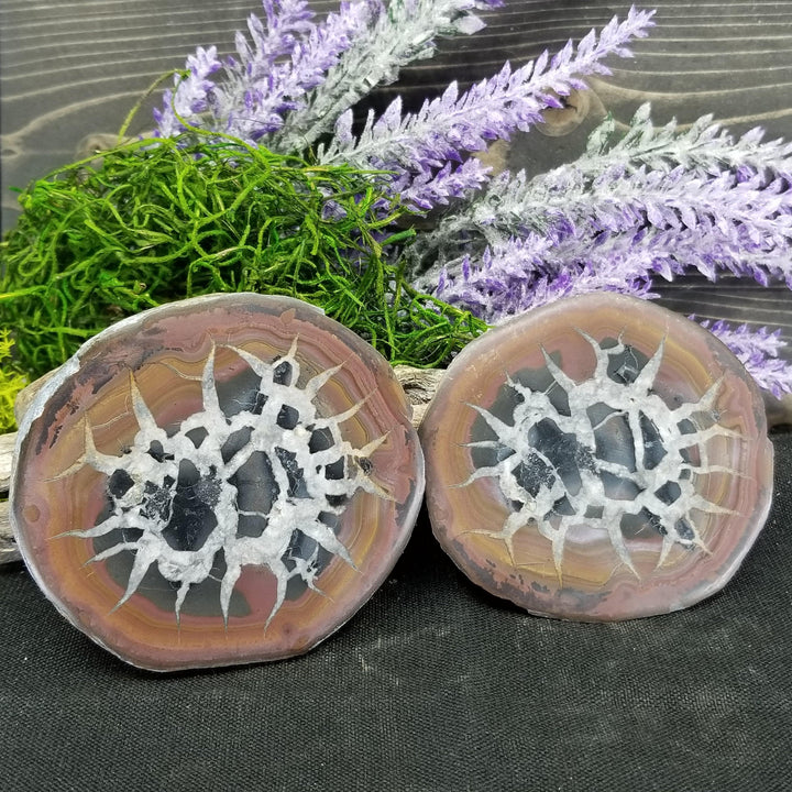 Septarian Nodule Pair (Dragon Stone) - Funky Stuff