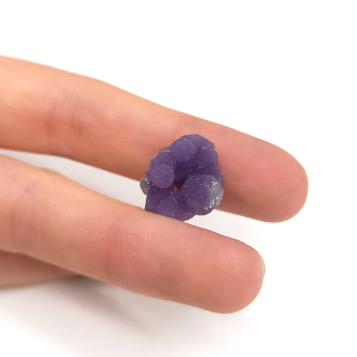 Grape Agate (Thumbnail Case Specimen) - Funky Stuff