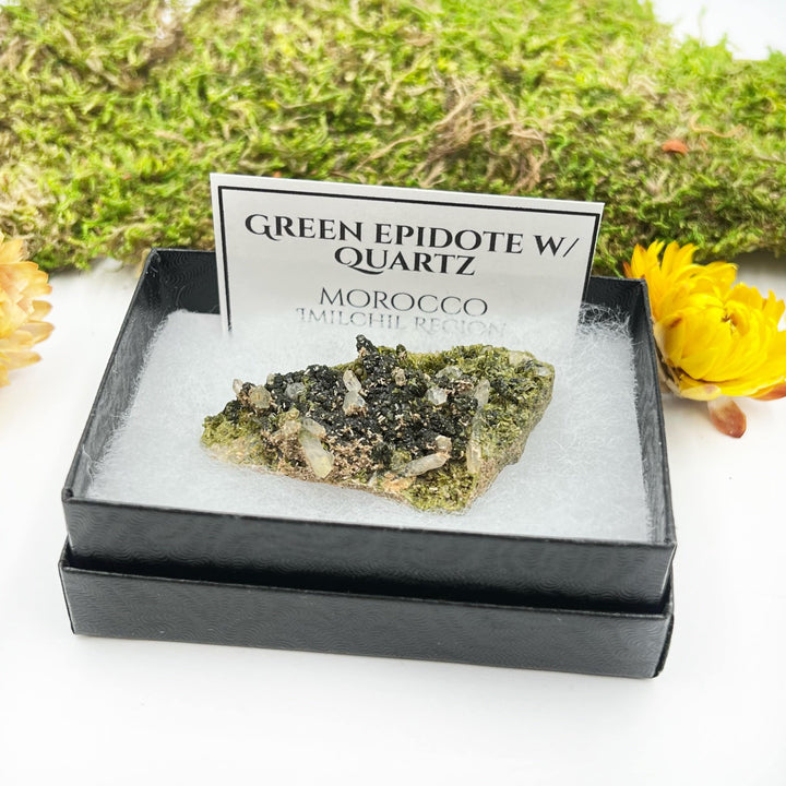 Green Epidote With Quartz (Boxed Specimen) - Funky Stuff