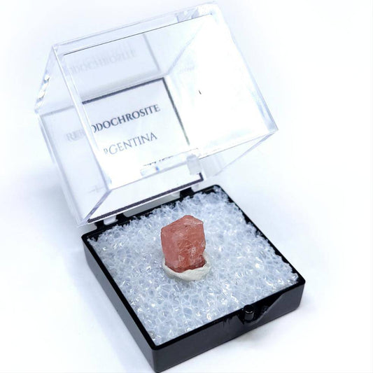 Rhodochrosite Thumbnail Case Specimen