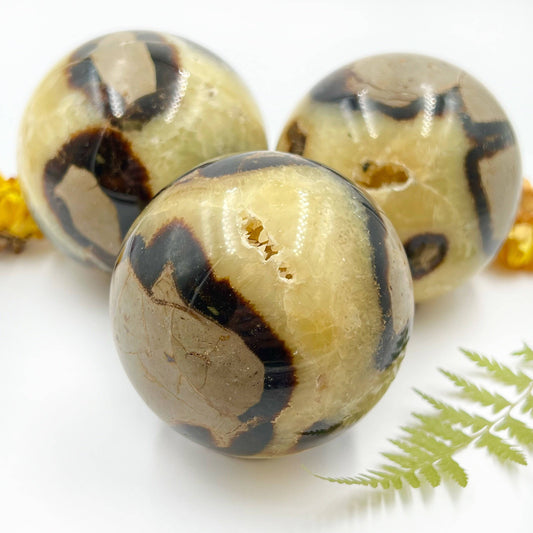 Septarian Sphere - Funky Stuff