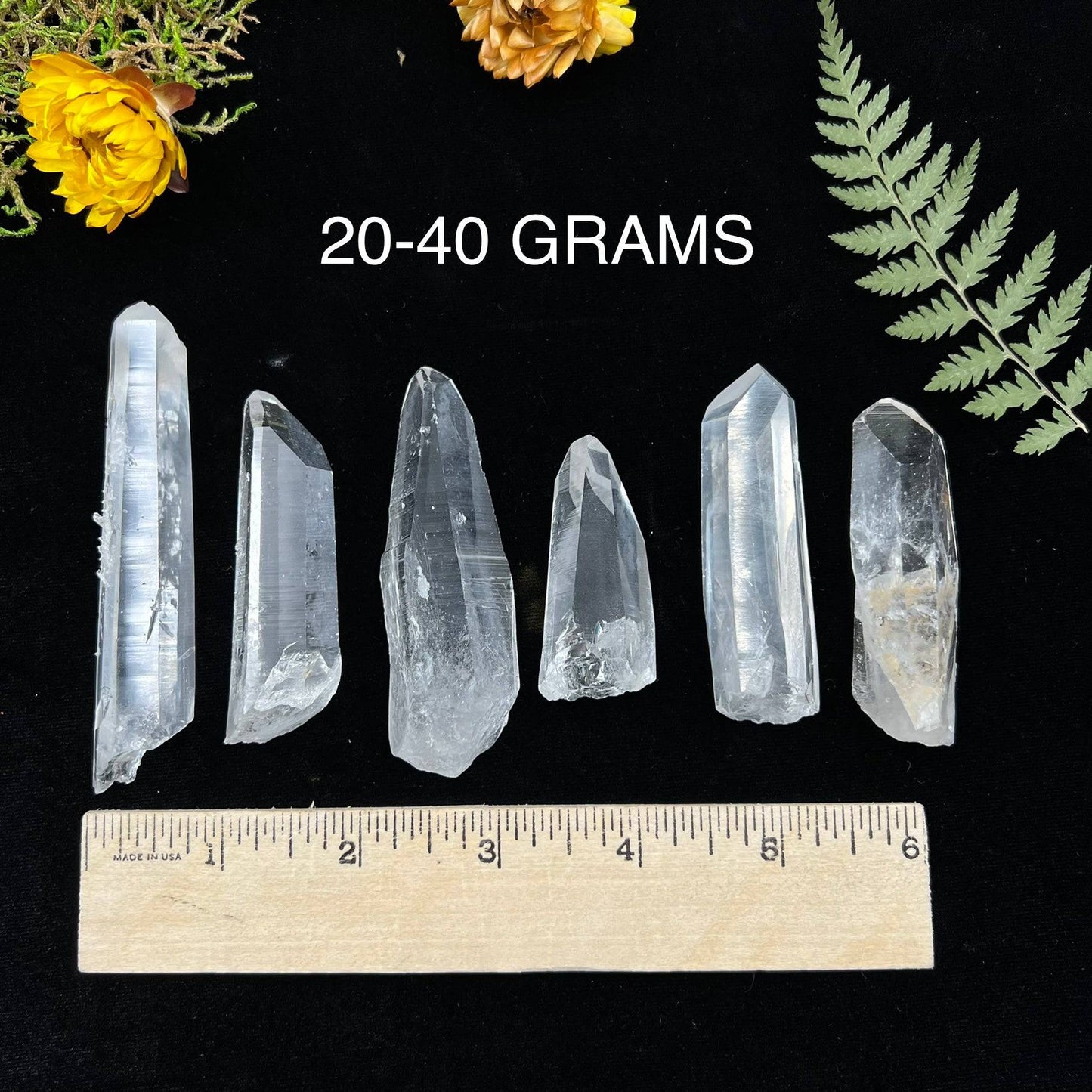 Colombian Quartz Point (Boxed Specimen)