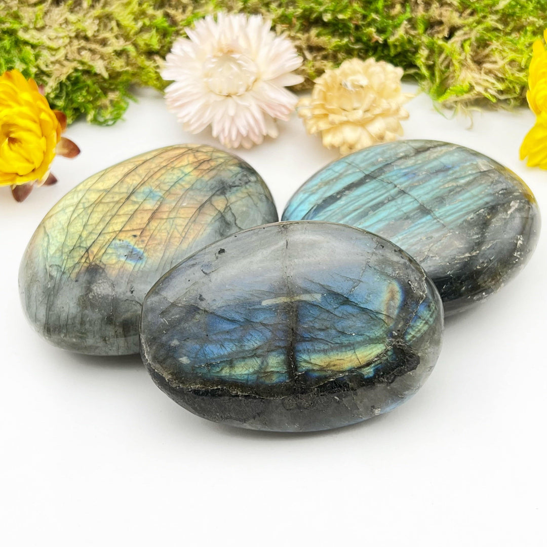 Labradorite Palmstone - Funky Stuff