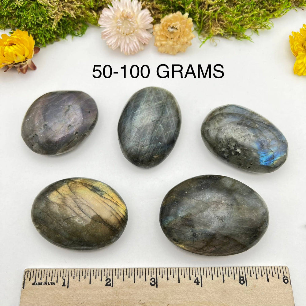 Labradorite Palmstone - Funky Stuff