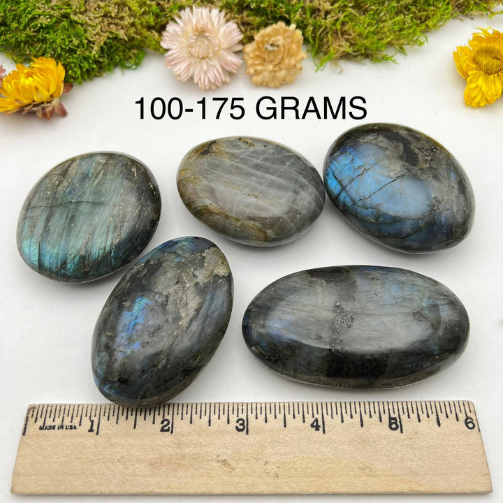 Labradorite Palmstone - Funky Stuff