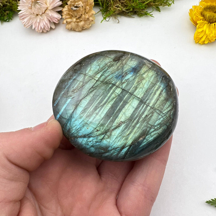 Labradorite Palmstone - Funky Stuff
