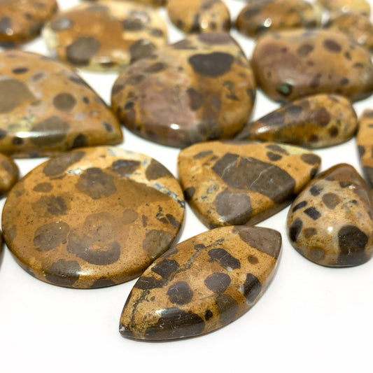 African Map Jasper Cabochon