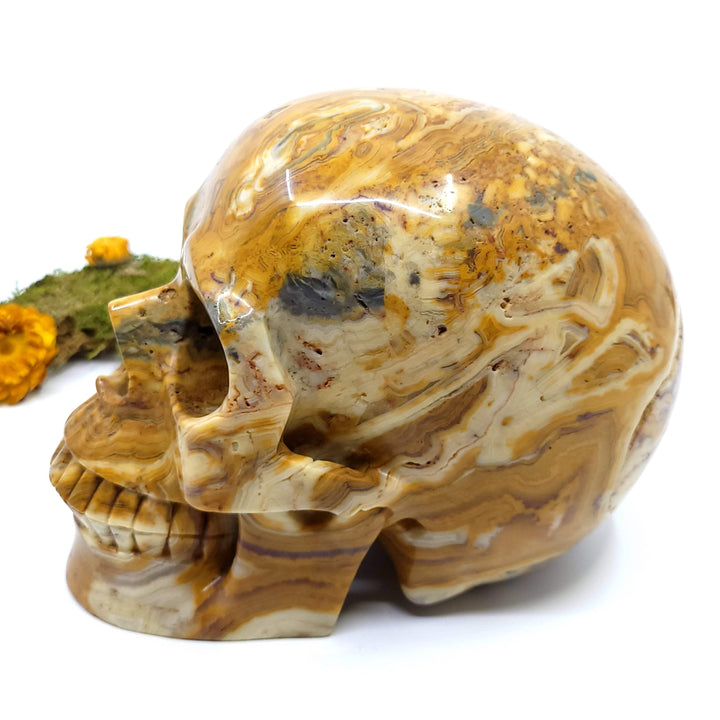 Crazy Lace Agate Skull - Funky Stuff