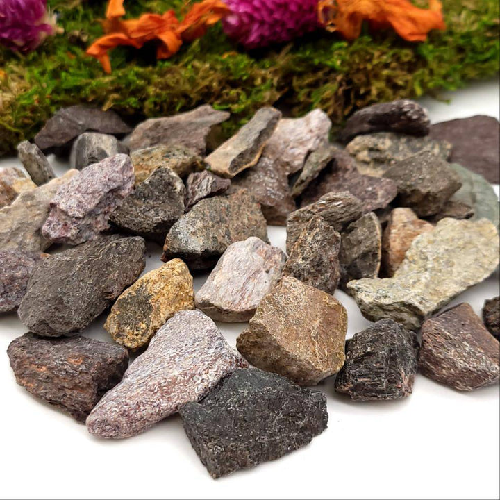 Dinosaur Bone Fragments - Funky Stuff