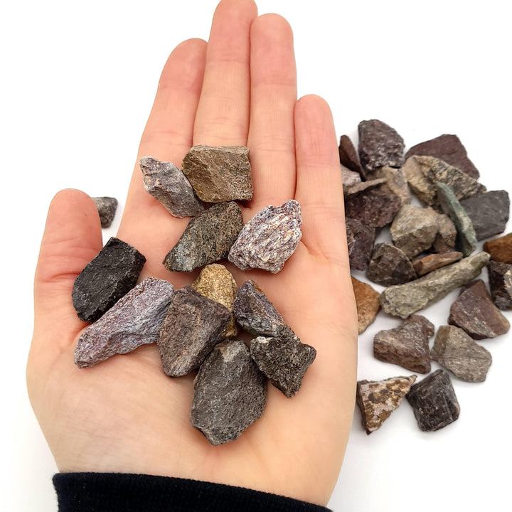 Dinosaur Bone Fragments - Funky Stuff