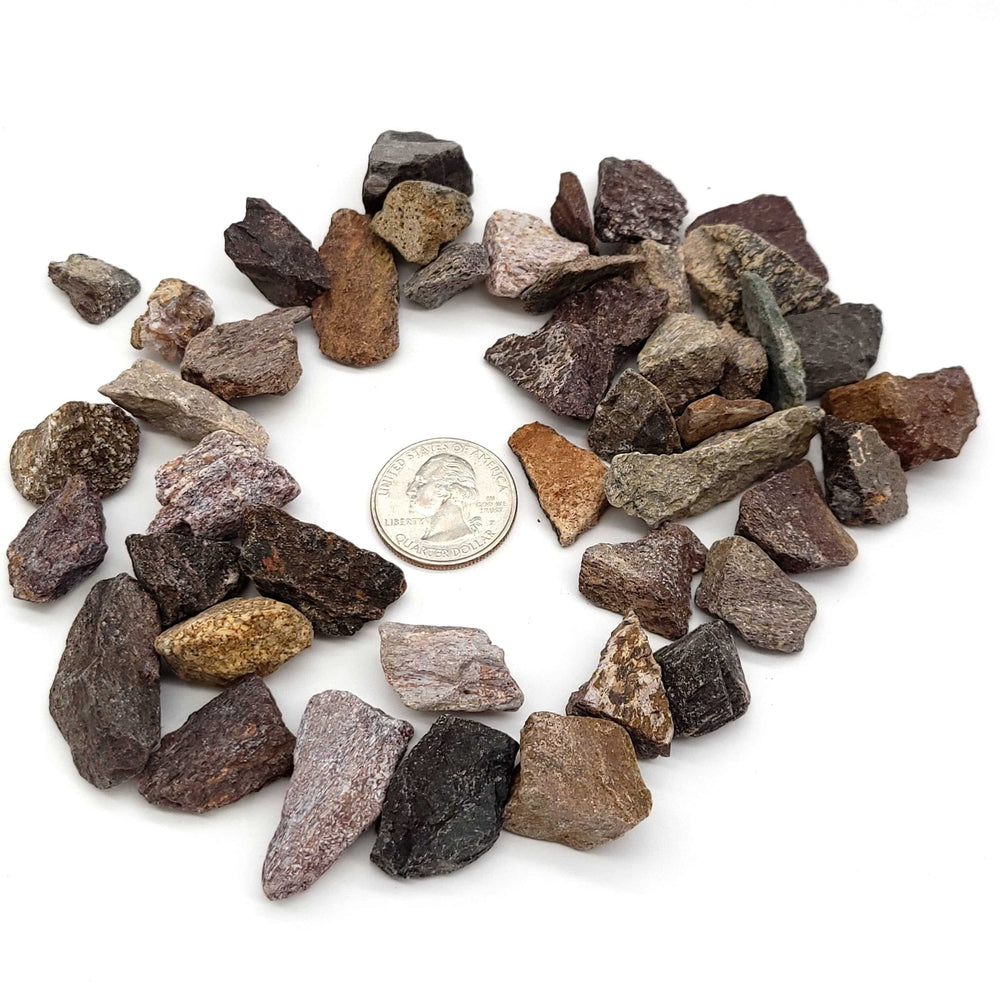 Dinosaur Bone Fragments - Funky Stuff