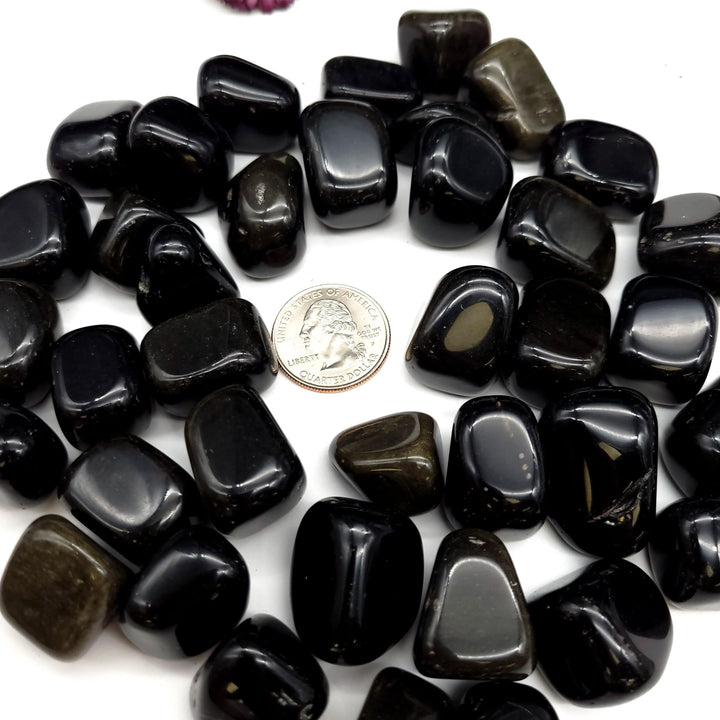 Gold Sheen Obsidian Tumbled Stone 1 LB - Funky Stuff