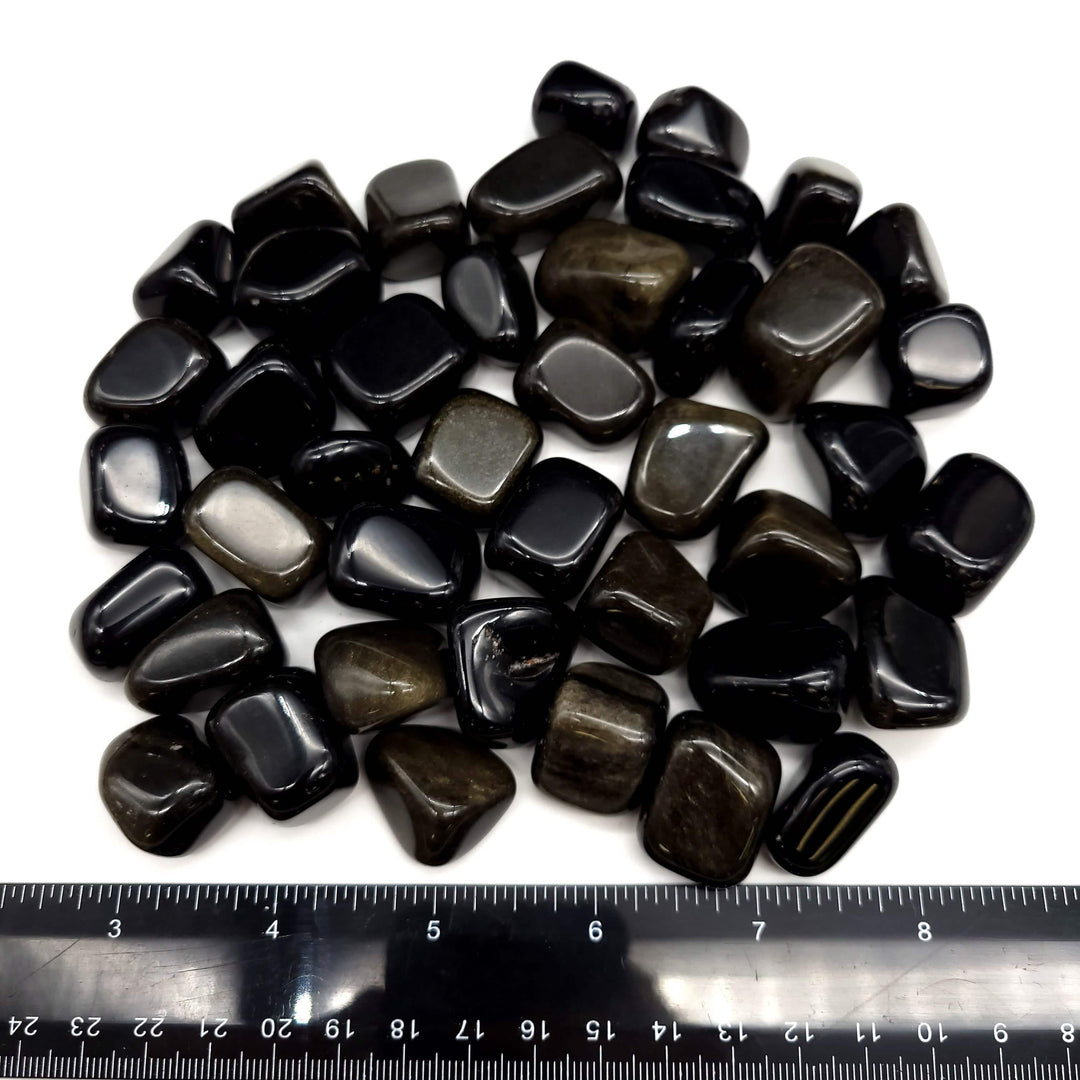 Gold Sheen Obsidian Tumbled Stone 1 LB - Funky Stuff