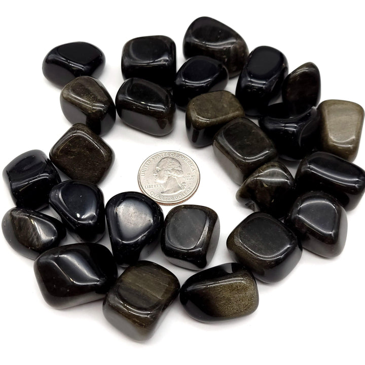 Gold Sheen Obsidian Tumbled Stone - Funky Stuff