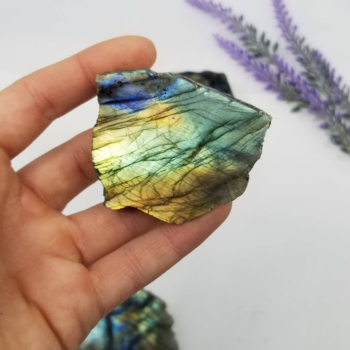 Half-Polished Labradorite - AAA Grade (2-3") - Funky Stuff