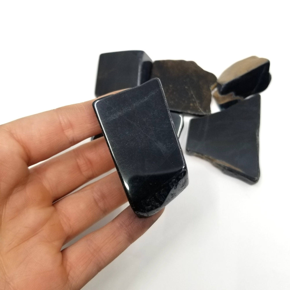 Hawk's Eye - Half Polished Black Slate  (1-2") - Funky Stuff