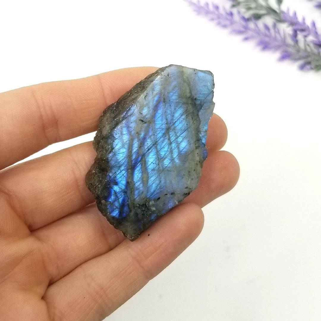 Labradorite Half Polished (1-2") - Funky Stuff