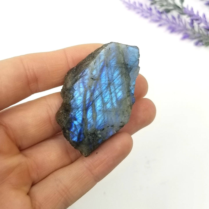Labradorite Half Polished (1-2") - Funky Stuff