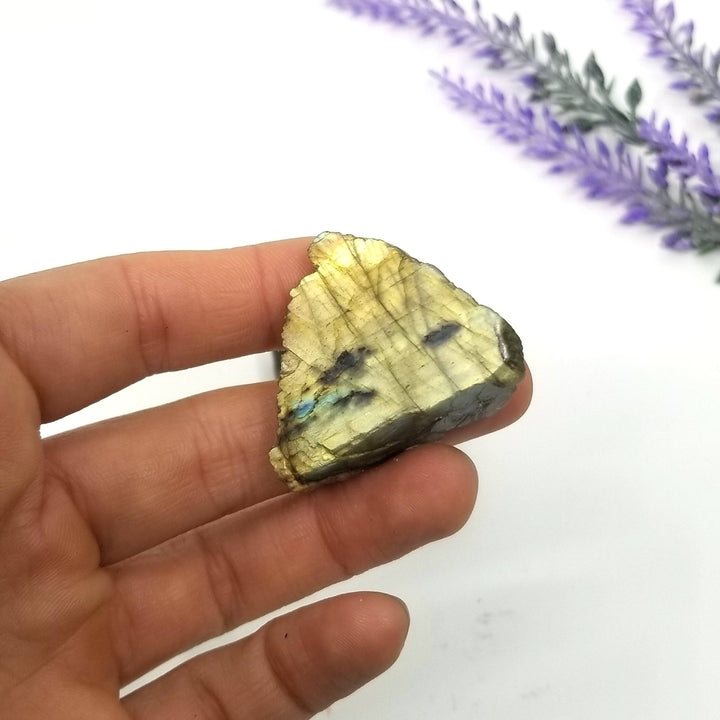 Labradorite Half Polished (1-2") - Funky Stuff
