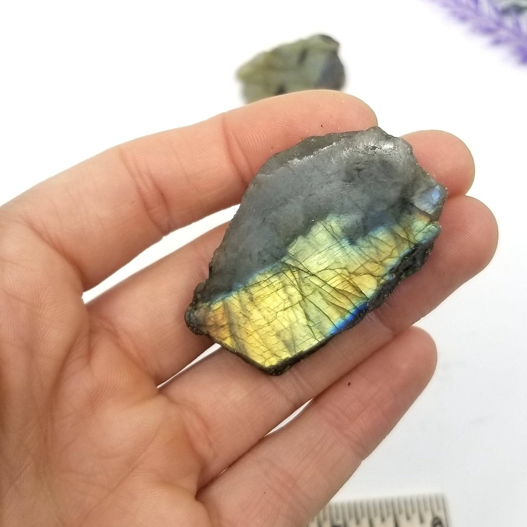 Labradorite Half Polished (1-2") - Funky Stuff
