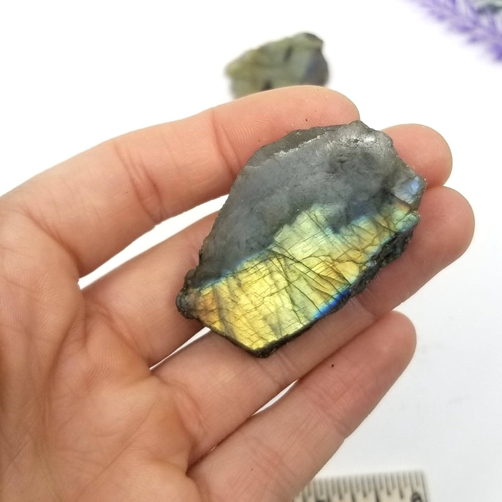 Labradorite Half Polished (1-2") - Funky Stuff